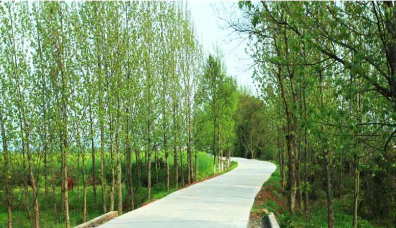 江西信丰县工业园科之光路（纬二路）新建大道、产业大道北段一期工程设计、施工总承包（EPC）